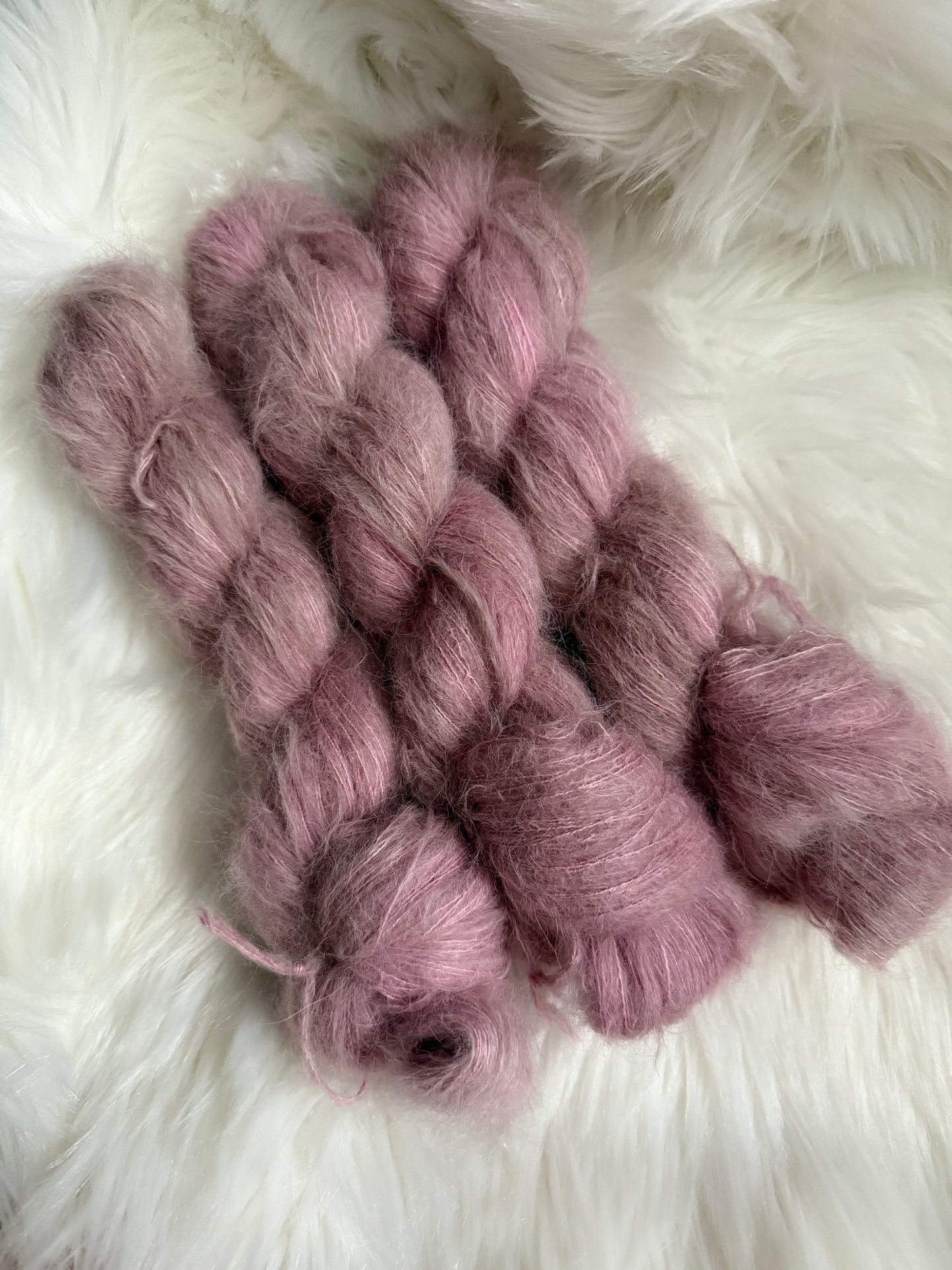 Dusty Rose on Suri