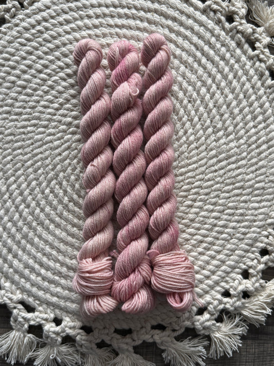 Lobster Bisque (20g Fingering)